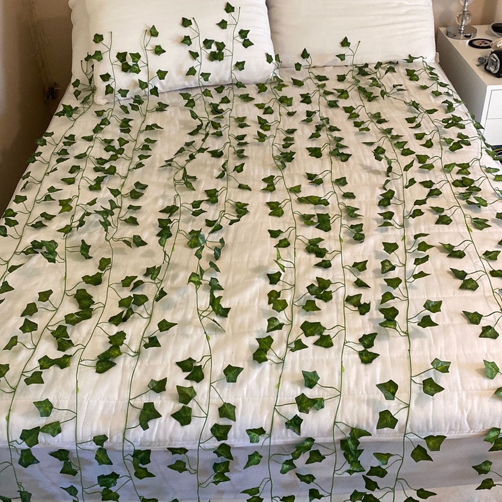 Pack of 10 wall vines